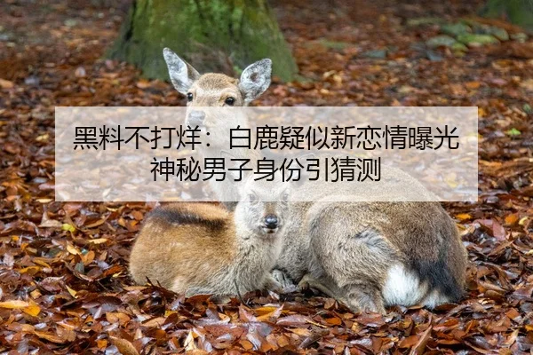 黑料不打烊：白鹿疑似新恋情曝光 神秘男子身份引猜测